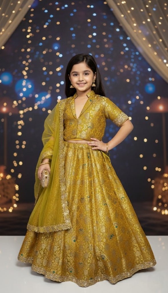 Sunehri Aabroo Brocade Lehenga Set